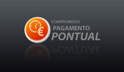 Compromisso Pagamento Pontual